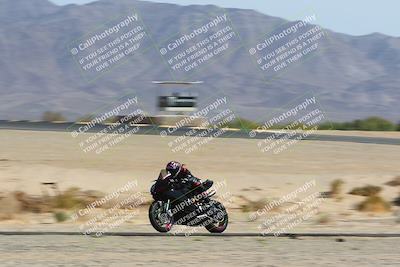 media/Apr-10-2022-SoCal Trackdays (Sun) [[f104b12566]]/Speed Shots Back Straight (930am)/